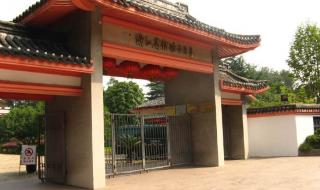 超8成985211学生是B站用户 超8成985211学生是B站用户