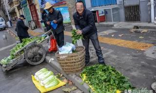 卖菜大爷挣21元被罚款11万 卖菜大爷挣21元被罚款11万