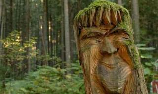 我的梦想我的森林北歌曲