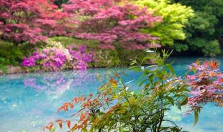 描写阳春三月的优美句子 描写阳春三月的优美句子