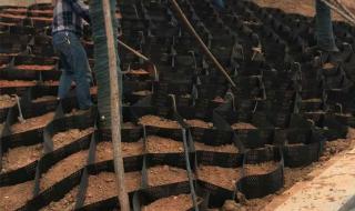 土工布价格多少钱一平方