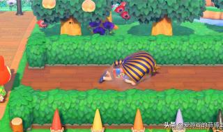 什么动物最容易摔倒