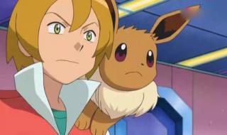 神奇宝贝之城都联盟全集